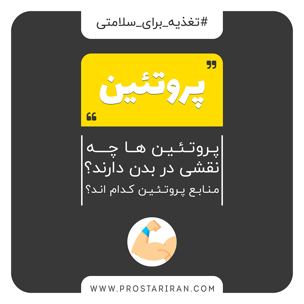 پروتئین ها چه نقشی در بدن دارند