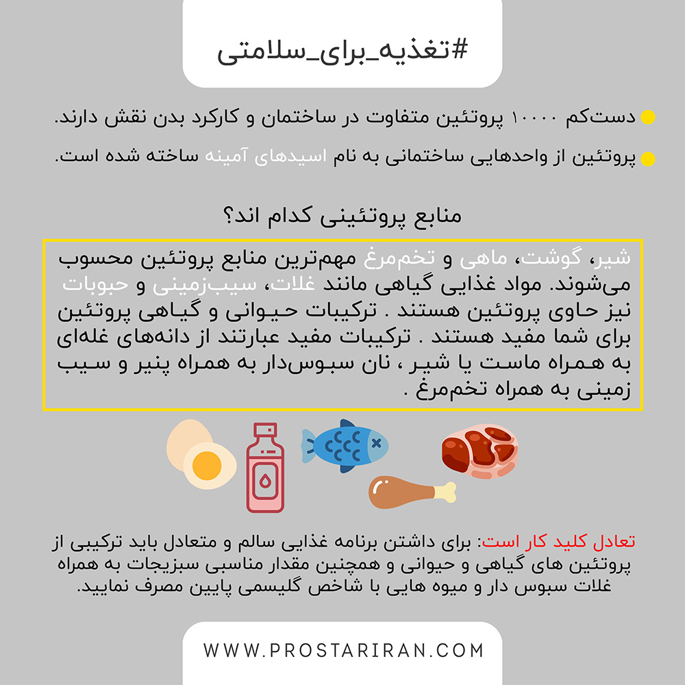 نقش پروتئین در بدن