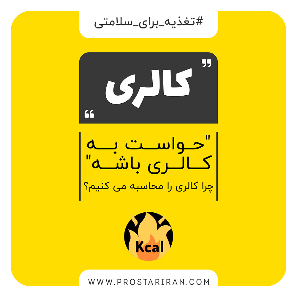 محاسبه کالری پروتیئن بار