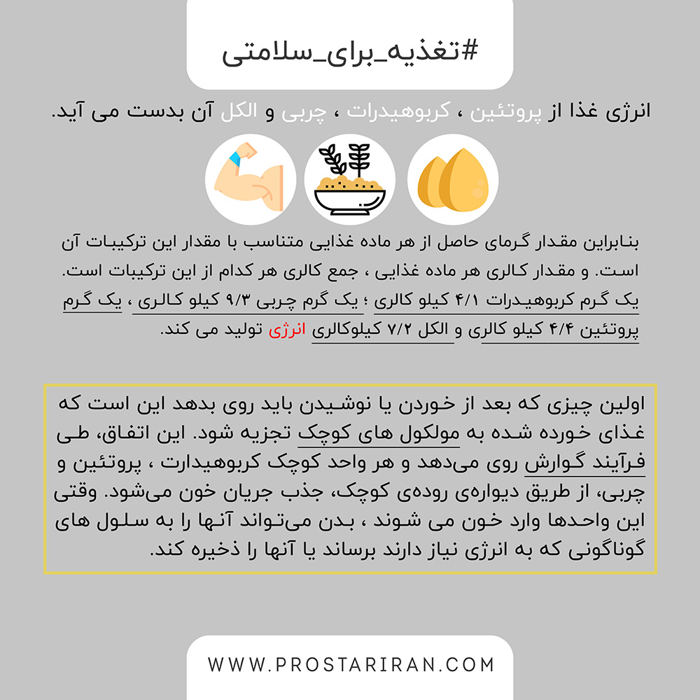 محاسبه کالری پروتیئن بار