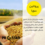 خواص پروتئین سویا