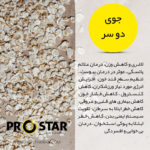 خواص جوی دو سر
